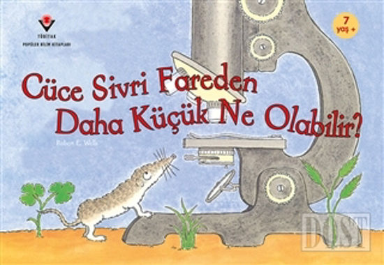 Cüce Sivri Fareden Daha Küçük Ne Olabilir?